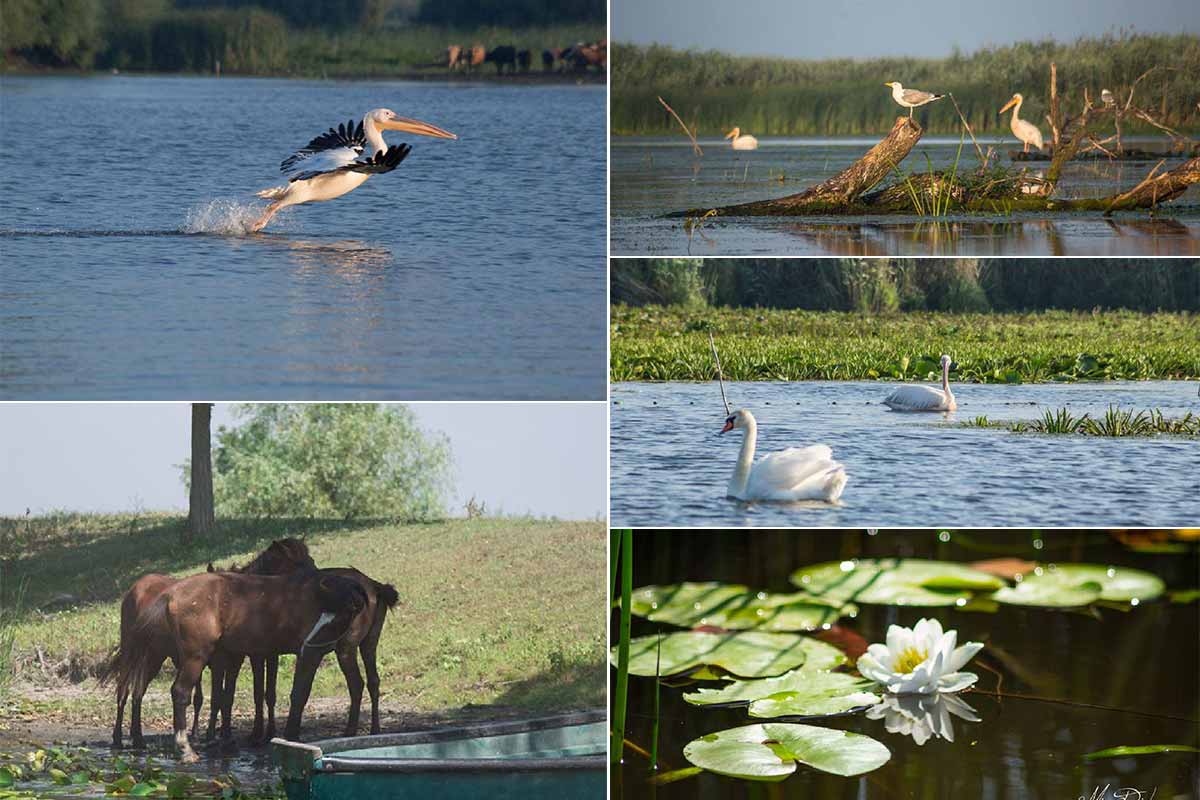 The Danube Delta in south-eastern Romania